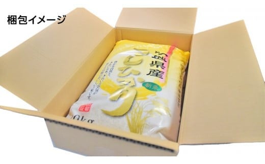 茨城県産 コシヒカリ 10kg ( 10kg × 1袋 ) 令和7年産 米 お米 コメ 白米 こしひかり 茨城県 新生活 応援 [EG002ci]