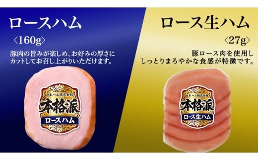 【 お中元 熨斗付 】 日本ハム 筑西工場 本格派 ギフトセットB 肉 にく 贈答 ギフト 詰め合わせ ハム ソーセージ ウィンナー 生ハム 焼豚 [AA081ci] お中元 熨斗付き