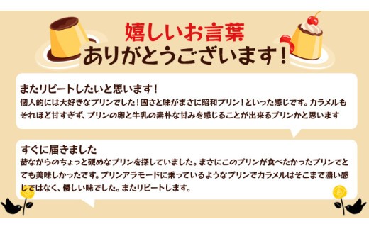 【 ODEKAKE LADY 】 レトロプリン 6個 セット 贅沢 平飼い卵 昔プリン ぷりん 洋菓子 お菓子 スイーツ デザート [BW068ci]