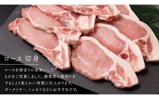 【 JA北つくば 】 ローズポーク ロース切身 600g ( 100g × 6枚入り ) ブランド豚 銘柄豚 豚肉 豚 肉 お肉 にく 厚切り とんかつ ポークソテー トンテキ 焼肉 バーベキュー ギフト 贈答 贈り物 茨城県共通返礼品 [AE036ci] 600g ( 100g × 6枚入り )：通常便