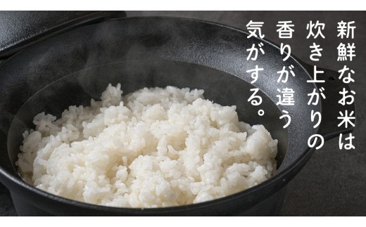 食べくらべ　精米 4種　真空1800g×4袋 令和7年産 米 お米 コメ 茨城県 新生活 応援 コシヒカリ ミルキープリンセス にじのきらめき つきあかり 食べ比べ　 [EX005ci] 【単品】1800g×4袋