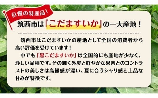 【 JA北つくば 】 黒こだますいか 「 誘惑のひとみ 」 1玉 2026年産 スイカ 果物 フルーツ 小玉スイカ 小玉 西瓜 くだもの デザート 茨城 [AE056ci]