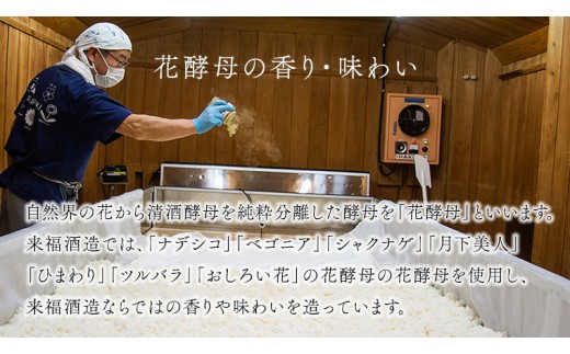 杜氏の隠し酒セット 日本酒 純米吟醸 純米酒 セット 飲み比べ セット [AM014ci]