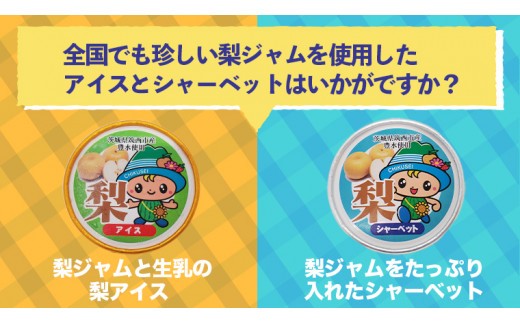 梨 アイス ＆ 梨 シャーベット セット 豊水 食べ比べ [BW067ci]