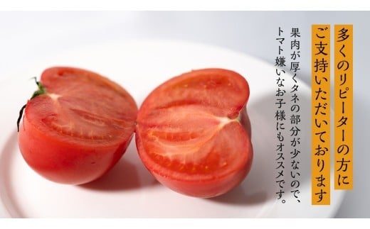 超大玉 フルーツトマト 大箱 約2.8kg × 1箱 【14～18玉/1箱】 2026年産 糖度7度 以上 野菜 フルーツ トマト とまと [AF008ci]