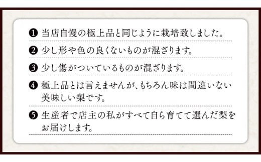 今一番人気 『 あきづき 』 5kg ( 自家用 ) 2026年産 先行予約 フルーツ 果物 国産 日本産 梨 ナシ なし 和梨 [DJ003ci]