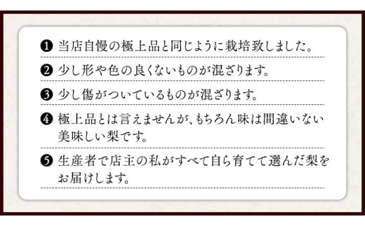 これぞ甘熟 『 幸水 』 5kg ( 自家用 ) 2026年産 先行予約 フルーツ 果物 国産 日本産 梨 ナシ なし 和梨 [DJ001ci]