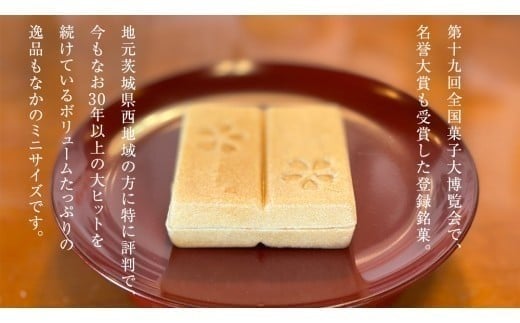 もち入り 「 館最中 」 6個 ( ミニサイズ ) 全国菓子大博覧会名誉大賞 和菓子 おかし お菓子 最中 もなか あんこ 餡子 小豆 あずき 餅 お餅 もち [AO025ci] 6個入（ミニサイズ）：通常（熨斗不要）