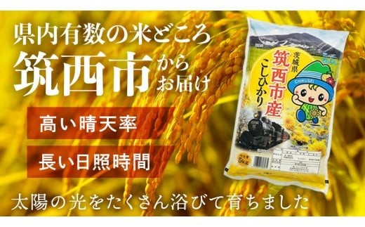 スピード発送!! （最短2日～7日程度で発送） 茨城県 筑西市産 コシヒカリ 10kg ( 5kg × 2袋 ) 令和7年産 新米 三ツ星 マイスター 米 コメ こしひかり 単一米 精米 スピード配送 [CH004ci] コシヒカリ 単品 10kg