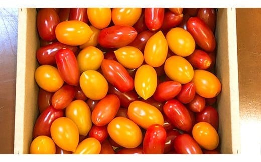 スーパーフルーツミニトマト 約1kg 2026年産 野菜 フルーツトマト フルーツ トマト とまと [AF096ci]