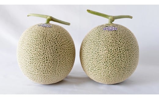 完熟 アールスメロン 2玉 2026年産 先行予約 メロン マスクメロン 青肉 果物 フルーツ 茨城県産 期間限定 数量限定 [AF003ci]