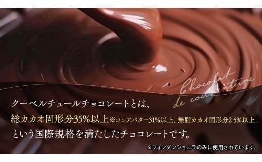 【 禁断の幸せ 】 フォンダンショコラ & テリーヌショコラ セット チョコ チョコレート 生チョコ ショコラ ケーキ デザート スイーツ テリーヌ 贈り物 贈答 ギフト バレンタイン ホワイトデー [CS008ci]