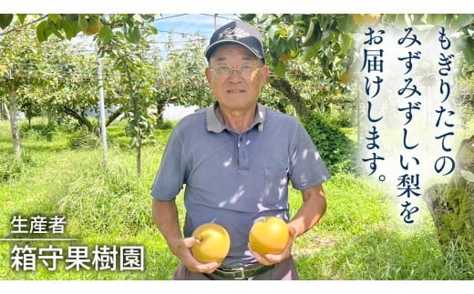 【 先行予約 】箱守果樹園 直送！ 恵水梨 3kg なし 梨 果実 果物 フルーツ [DE003ci]