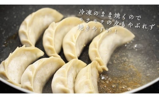 手作り！ 冷凍 餃子 セット ( 通常餃子・ローズポーク餃子 ) 国産豚肉 国産野菜 肉 お肉 豚肉 中華 冷凍 詰め合わせ セット [CQ001ci]