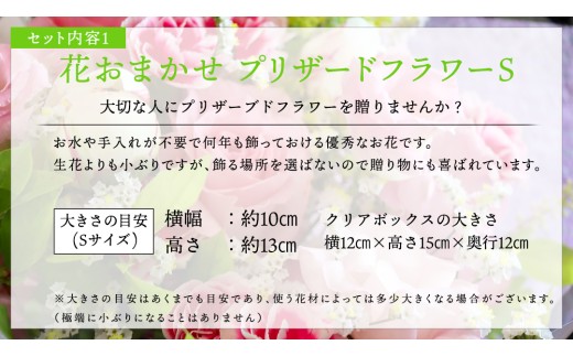 【 筑西市 ふるさと納税限定 コラボ 】 《 花色 おまかせ プリザーブド フラワー S 》《 笑来餅 2個 セット（白2個） 》 アレンジメント 生花 ギフト プレゼント 誕生日 記念日 敬老 餅 もち もち米 [ZZ048ci]
