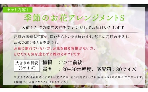 【 筑西市 ふるさと納税限定 コラボ 】 《 季節のお花アレンジメントS 》《 笑来餅 2個 セット（白2個） 》 アレンジメント 生花 ギフト プレゼント 誕生日 記念日 敬老 餅 もち もち米 [ZZ047ci]