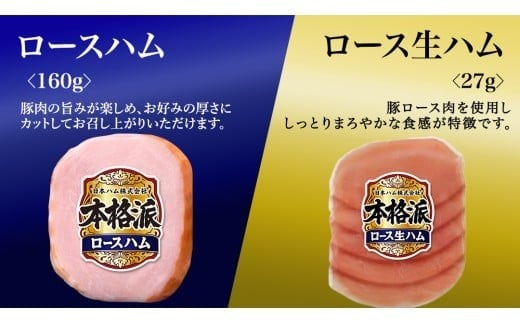 日本ハム 筑西工場 本格派 ギフトセットB 肉 にく 贈答 ギフト 詰め合わせ ハム ソーセージ ウィンナー 生ハム 焼豚 [AA081ci] 通常（熨斗不要）