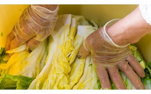 菜香やの(オーガニック)ミルキークィーン米ぬか床とぬか漬けセット[BJ003ci]