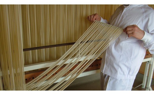 手延べうどん 半生手なえ 2袋 ( 4人前 ) スープ付き 麺 めん 半生 [BE008ci]