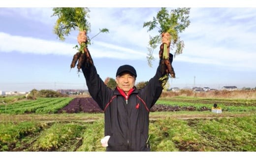 【 定期便 年4回お届け！】四季の 有機野菜 色とりどりセット  野菜 野菜セット 詰め合わせ 有機 無農薬 JAS認定 無化学肥料 おまかせ 野菜スティック レインボーフューチャー [AL001ci]