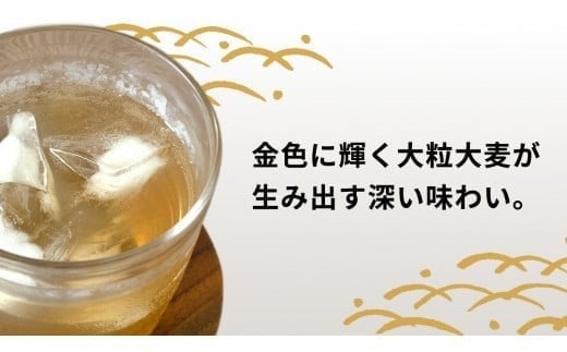 スピード発送!!【 JA 北つくば 】 JGAP認証 麦茶 1箱 ( 500ml × 24本 ) JGAP JA お茶 茶 ペットボトル 麦 大麦 二条大麦 ノンカフェイン カフェインゼロ スピード配送 [AE020ci]