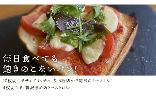 【 6ヶ月 定期便 】茨城県産 小麦の イギリスパン 2斤 2本 セット 食パン パン 小麦 冷凍 プレゼント ギフト [AU019ci]