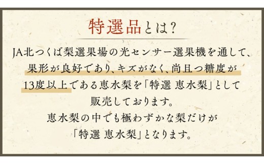 【 JA 北つくば 】 筑西ブランド 認証品 特選!! 恵水 5kg 2026年産 先行予約 梨 果物 フルーツ なし ナシ 赤梨 贈り物 贈答 贈答用 [AE025ci]