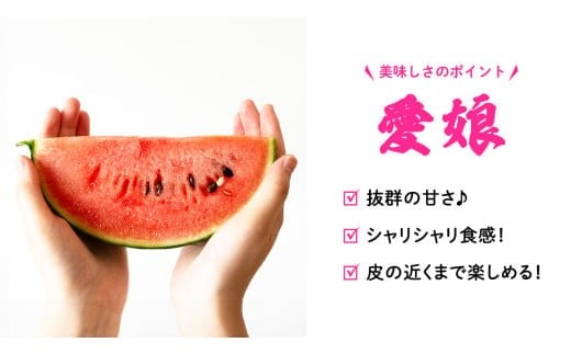 【 訳あり 】 こだますいか 「 愛娘 」 2玉 2026年産 先行予約 筑西ブランド こだまスイカ 小玉スイカ すいか スイカ フルーツ 果物 [AF084ci]