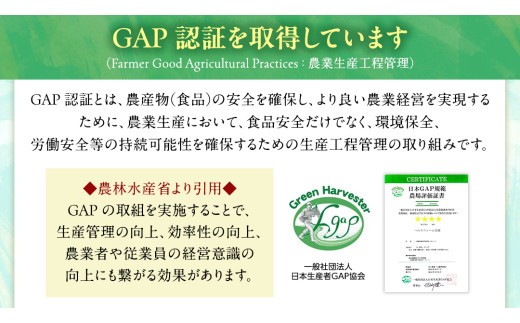 【 ファーム大畑 】まろ福印の 天日干し 椎茸パウダー 40g × 3袋 椎茸 しいたけ GAP規範 干し椎茸 ヴィーガン ビタミンD 葉酸 グアニル酸 遊離 グルタミン酸 佃煮 カレー キムチ 納豆 ヨーグルト 味噌汁 出汁 [AK005ci]