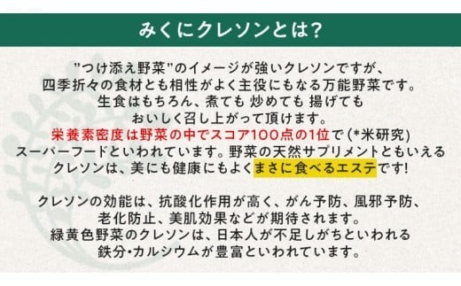みくにクレソン100g×10袋 美容 健康 野菜 スーパーフード クレソン [CY003ci]
