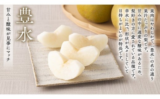 【 JA 北つくば 】 筑西ブランド 認証品 梨 3種 定期便 セット 2026年産 先行予約 果物 フルーツ なし ナシ 和梨 [AE031ci]