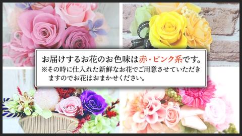 【 敬老の日 】 赤 ・ ピンク 系 プリザーブド フラワー M ギフト プレゼント 花 お祝い 贈答 記念日 [CT102ci]