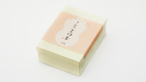 もち入り館最中8個詰 きぬのまゆ玉24個詰（絹白・抹茶各12個） [AO007ci]