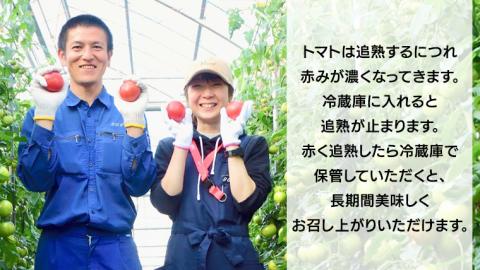 【先行予約】超大玉スーパーフルーツトマト大箱 3kg ×2箱【14～18玉/1箱】糖度9度以上[AF035ci]