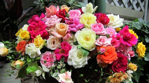 バラ「香りのバラアレンジメント」（バラ風呂・バラジャム対応）[BN004ci]