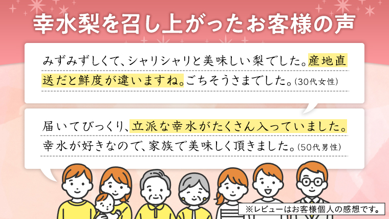 【 JA 北つくば 】 筑西ブランド 認証品 幸水 10kg 2026年産 先行予約 梨 果物 フルーツ なし ナシ 幸水梨 くだもの デザート 茨城 [AE009ci]