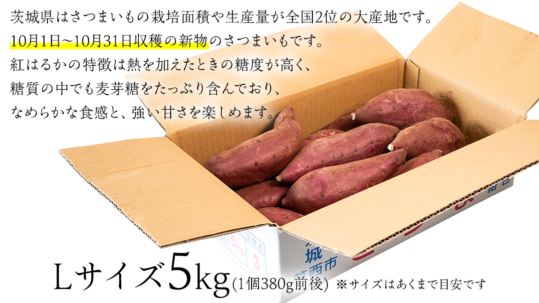 【 塚田商店 】 井上さつま 「 紅はるか 」 5kg ( Lサイズ ) 新物 ブランド芋 茨城県産 筑西市産 さつまいも サツマイモ いも 芋 イモ マツコの知らない世界 [BD037ci]