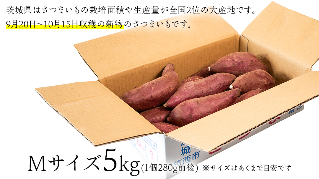 【 塚田商店 】 井上さつま 「 シルクスイート 」 5kg ( Mサイズ ) 新物 ブランド芋 茨城県産 筑西市産 さつまいも サツマイモ いも 芋 イモ [BD040ci]