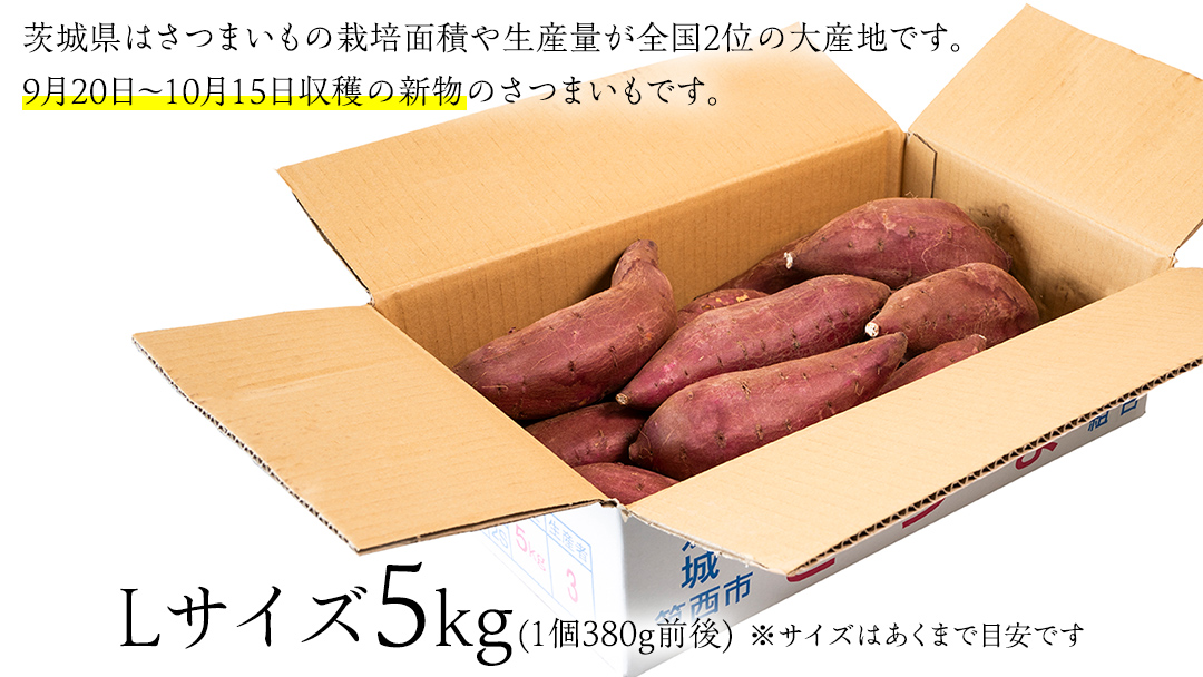 【 塚田商店 】 井上さつま 「 シルクスイート 」 5kg ( Lサイズ ) 新物 ブランド芋 茨城県産 筑西市産 さつまいも サツマイモ いも 芋 イモ [BD041ci]