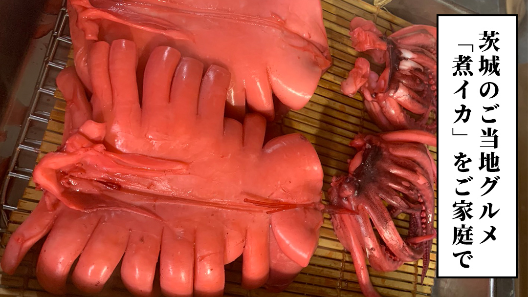 筑西市名物 煮イカ（三杯） いか 筑西 茨城 ソウルフード ご当地グルメ 名物 海鮮 魚介 冷凍 ［BW090ci］