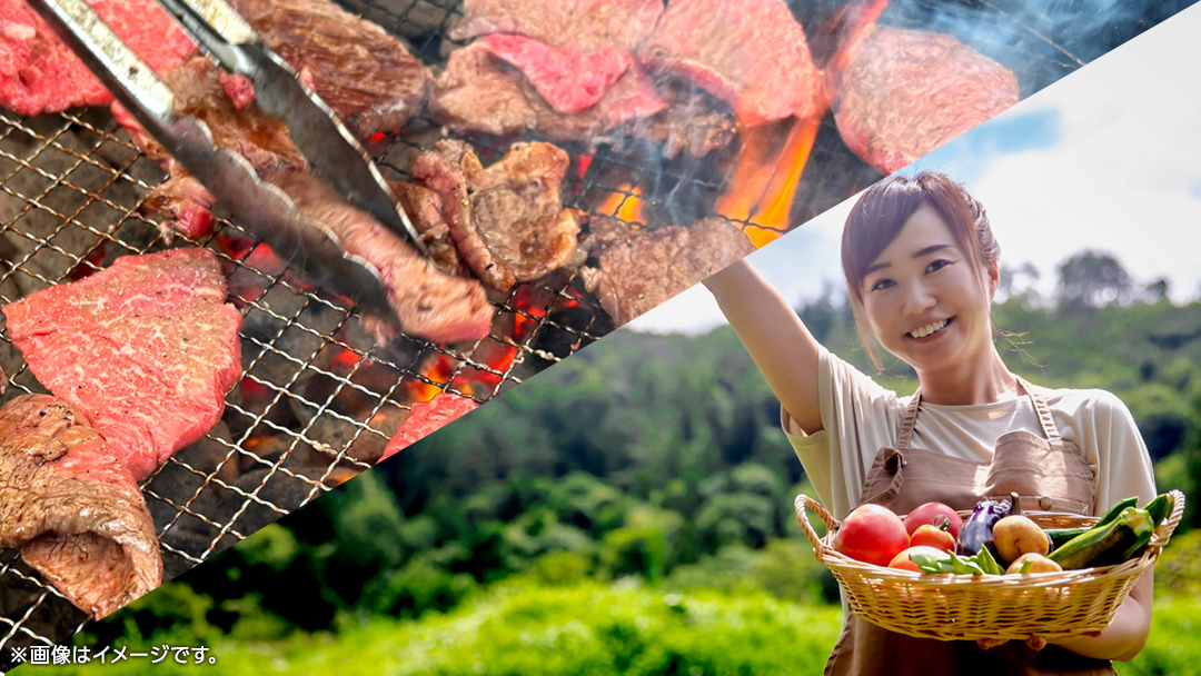 築120年の古民家民泊 風の家 ご宿泊 ( 元禄農園体験 ＆ BBQ 付) 2人 × 1泊 民泊 古民家 旅行 観光 宿泊 体験 農園 茨城 筑西市 トラベル 2名 [BY013ci]