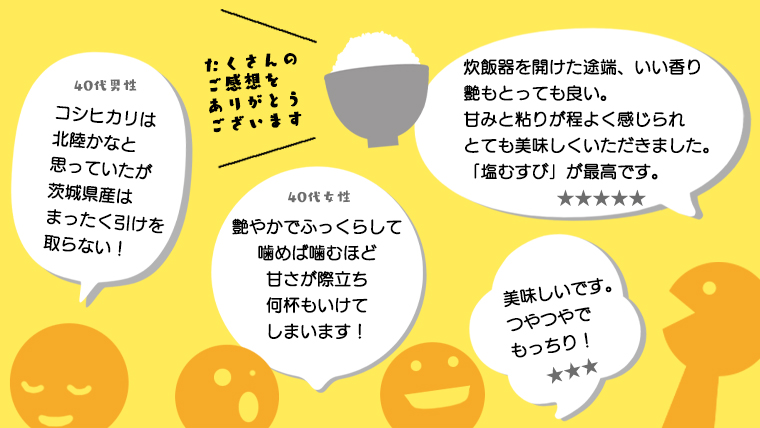 【 定期便 3ヶ月 】 茨城県 筑西市産 コシヒカリ 10kg ( 5kg × 2袋 ) 令和7年産 新米 三ツ星 マイスター 米 コメ こしひかり 定期便3回 30kg 茨城県 単一米 精米 新生活 応援 [CH008ci]