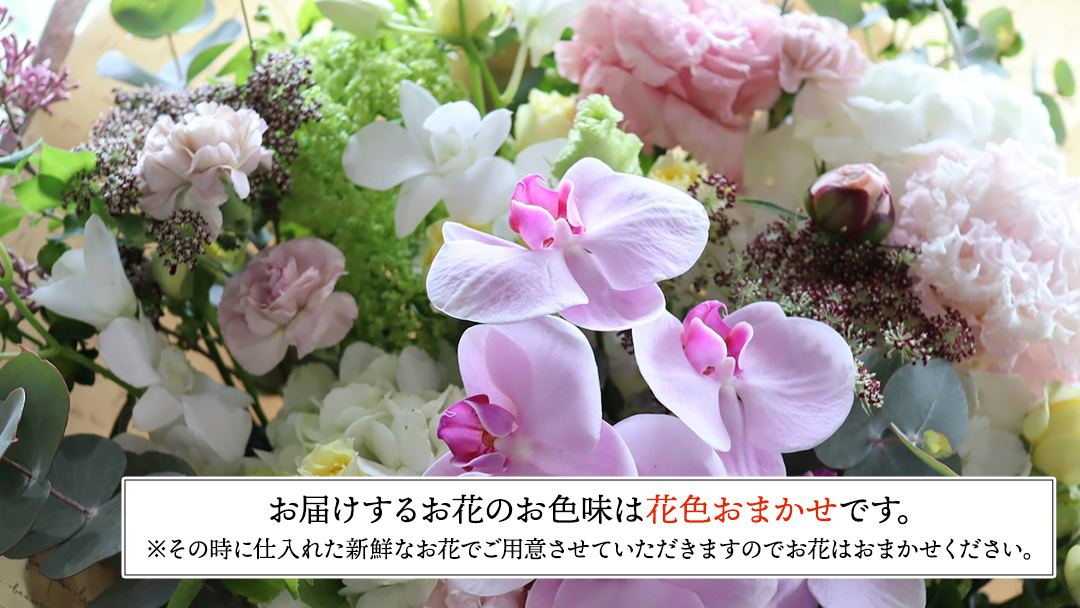 【 敬老の日 】季節のお花の フラワーアレンジメント LL　花色おまかせ ギフト プレゼント 花 お祝い 贈答 記念日 フラワー [CT162ci]