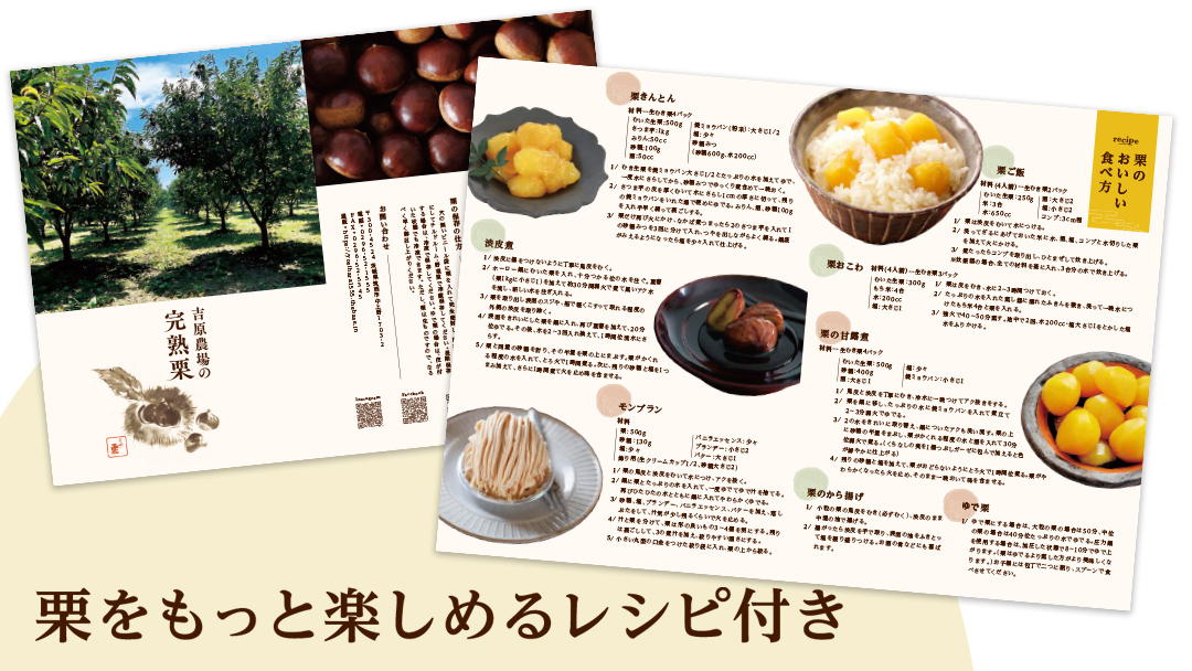 【 吉原農場 の 完熟栗 】 熟成 生むき栗 3袋・栗きんとん 1箱 セット 令和7年産 栗の深雫 完熟  むき栗 くり クリ 栗ごはん おかし お菓子 果物 フルーツ 数量限定 旬 秋 冬 正月 おせち [CX024ci]
