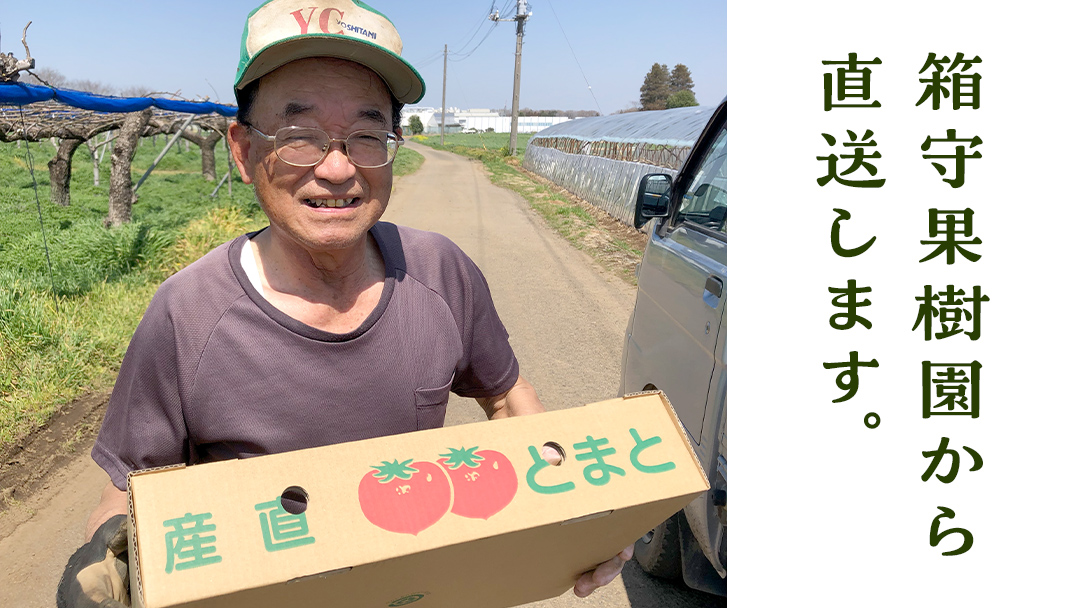 箱守果樹園 直送！ 「 王様トマト 」 1箱 4kg 野菜 トマト とまと [DE002ci]