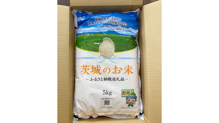 【 定期便 6ヶ月 】 茨城県産 コシヒカリ 15kg ( 5kg × 3袋 ) 米 お米 コメ 白米 こしひかり 茨城県 精米 新生活 応援 [DK031ci]