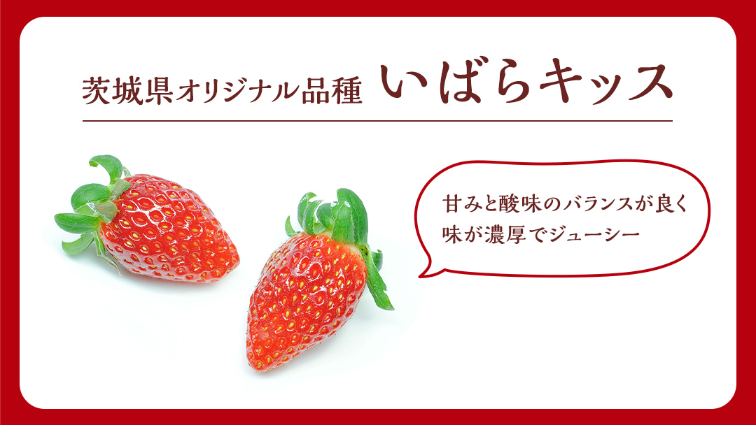 【 茨城いちごグランプリ 受賞 農園 】 完熟 いばらキッス 4パック 茨城県オリジナル品種 イチゴ 苺 フルーツ 果物 果実 [DY003ci]