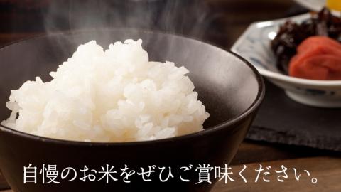 茨城県 筑西市産 コシヒカリ 15kg （ 5kg × 3袋 ） 三ツ星 マイスター 米 コメ こしひかり 単一米 精米 [CH013ci]