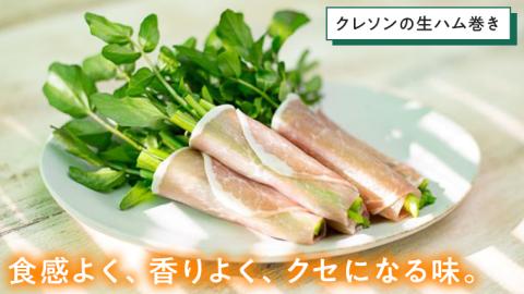 【 先行予約 】 みくにクレソン100g×30袋 美容 健康 野菜 スーパーフード クレソン [CY006ci]