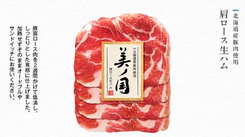 【 お歳暮 熨斗付 】 日本ハム 美ノ国 ギフトセットB 肉 にく 贈答 ギフト 詰め合わせ ハム 生ハム ロース ステーキ ベーコン [AA075ci]